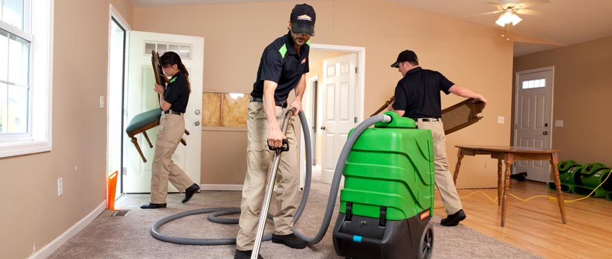 Springfield, TN cleaning services