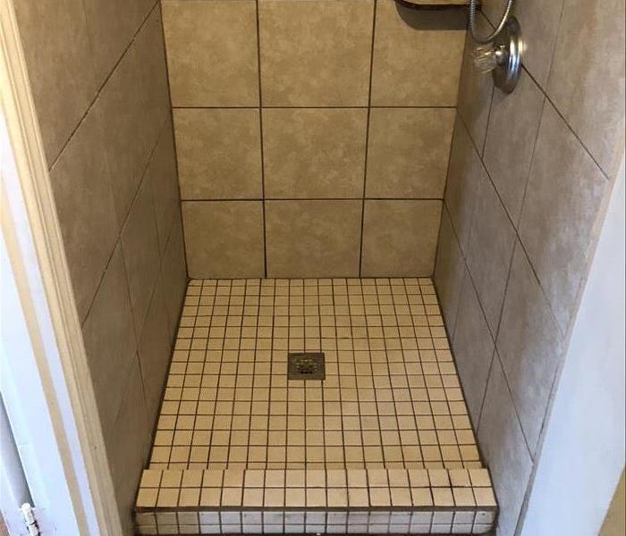 Clean Shower 